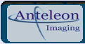 Anteleon logo